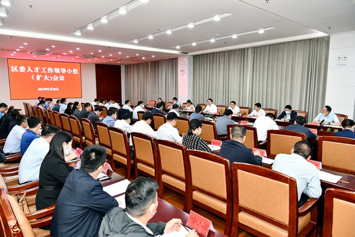 区委人才工作领导小组（扩大）会议召开
