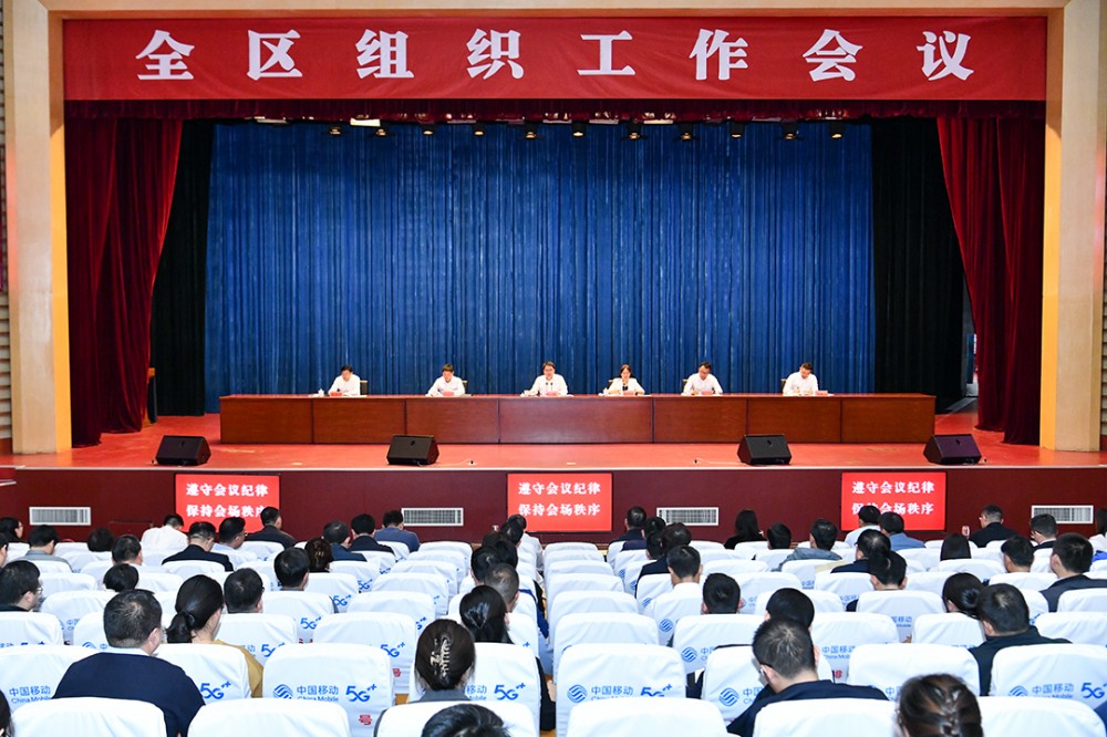 全区组织工作会议召开