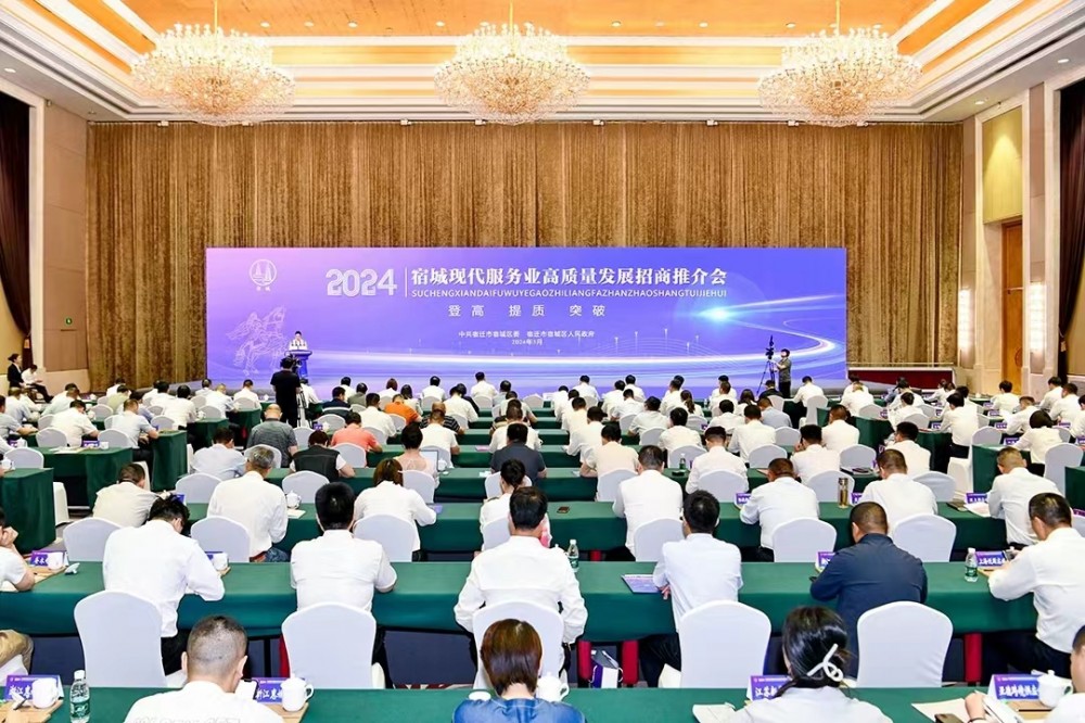 登高！提质！突破！2024宿城现代服务业高质量发展招商推介会成功举行